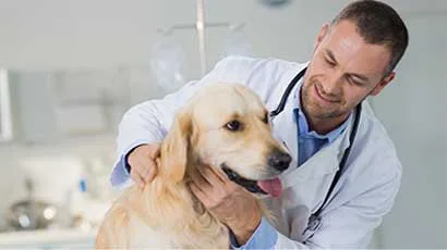 quick financing approval